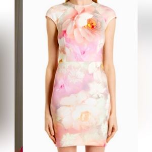 Ted Baker London Quaro Rose Dress size 1 (4US)